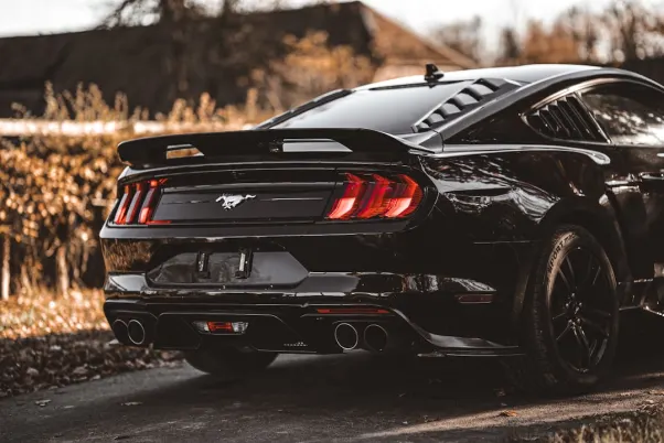 Casino Royal Valley Android/iOS App